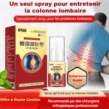 Spray Anti Douleur Lombaire (2 boites) - Hodamart